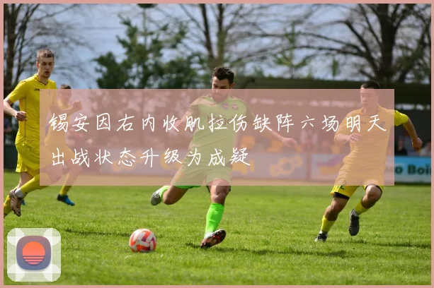 锡安因右内收肌拉伤缺阵六场明天出战状态升级为成疑