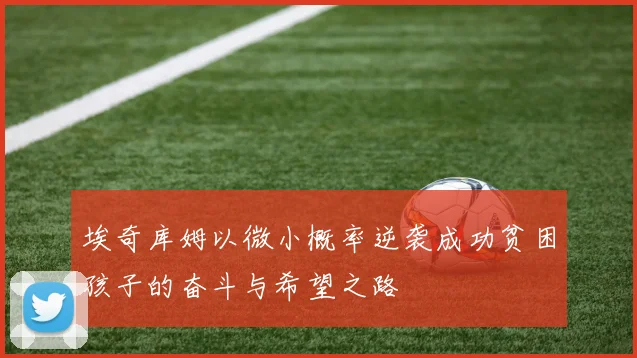 埃奇库姆以微小概率逆袭成功贫困孩子的奋斗与希望之路